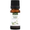 La Compagnie des Sens EUCALIPTO GLOBULUS BIO - 10mL - Olio Essenziale di Qualità Premium - 100% Puro, Naturale, Garantito ChromaCert® - Chemiotipizzato & Integrale