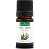 La Compagnie des Sens TIMO A TIMOLO (Thymus zygis) BIO - 5mL - Olio Essenziale - 100% Puro, Naturale, Chemiotipizzato e Integrale
