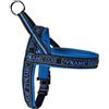 CAMON PETTORINA NEOPRENE DYNAMIC BLUE 45 CM DC195/B