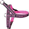 CAMON PETTORINA NEOPRENE DYNAMIC FUCSIA 45 CM DC198/B