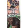 BANDAI Ichiban Kuji Attack on Titan Premio A~B MASTERLISE Set di 2 Giappone N...