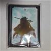 Non si applica Custodia protettiva ONE PIECE Tarot Gol D. Roger doujin Card 60Sleeve