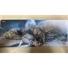 Konami Yugioh Rush Duel Oneirophrenia Delirium Silbyx Playmat Yu-Gi-Oh Giorno 2025 K...