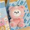 Stray Kids Portachiavi segreto per bambini randagi SKZOO Hyunjin Jiniret mascotte di...