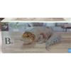 Ichiban Kuji Reptiles & Amphibians B Prize-Leopard Gecko Figure Shedding Ver.
