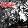 Übergang Evolution (Vinyl LP) 12" Album