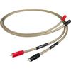 CHORD EPIC 2RCA TO 2RCA 1M