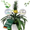 Netrox Set di 2 sfere di irrigazione in vetro, 2 x 240 ml, irrigazione automatica per piante, fiori e giardino, ideale in vacanza, sistema di irrigazione, vaso, dispenser d'acqua