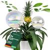 Netrox - 2 Bulbi Autoirriganti in Vetro spesso | Irrigazione Goccia per Piante | Sistema Irrigazione Balcone | Irrigatore Automatico | Erogatore Acqua | Irrigatori per Vasi Vacanze