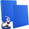 APACALI 2 cuscini per equilibrio, fisioterapia, per stabilità e coordinazione, antiscivolo, per allenare l'equilibrio (rosa)