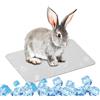 SilverChry Piastra Raffreddamento Lega Alluminio, 30*20cm Cuscinetto Rinfrescante Animali Domestici, Cuscino Refrigerante, per Rinfrescare Animali Domestici Come Porcellini d'India, Criceti e Conigli