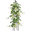 Generic Traliccio da giardino, supporto per piante Monstera, pianta decorativa con design di facile installazione, da giardinaggio, strumenti per piante, supporto per arrampicata, per cortile