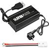 Behogan LiFePO4, caricabatterie LiFePO4, 14,6 V, 10 A, intelligenza automatica, a 3 livelli, per barche, camper, batteria al litio da 14,6 V, per batterie LiFePO4 da 12 V