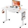MAIDeSITe Scrivania Regolabile in Altezza,100x60cm Tavolo Sollevabile Elettrico,Standing Desk con Anti Collisione e Funzione Memoria