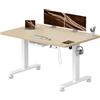 Airfish Scrivania Regolabile in Altezza 120×80cm, Scrivania Regolabile Elettricamente con Presa USB-C e Custodia Integrata per Cavi