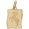 Pendente in Oro Zodiaco Ariete ZOD07GGAR - Stella