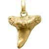My Gold Ciondolo a forma di dente di squalo (senza catena), in argento Sterling 925, placcato oro massiccio, 22 mm x 17 mm, oro squalo A-06179-S901