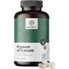 HealthyWorld Pygeum Africano - 100 mg Estratto 20:1 - 120 Capsule | Estratto di Pigeo Africano (Pygeum Africanum) - Vegetariano - Supporto maschile - Fornitura per 4 mesi