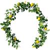 Drhomeam Ghirlanda artificiale di limoni da 1,7 m/2 m, ghirlanda di frutta primaverile con foglie finte verde limone (stile 2: 2 m)