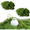 CM-UHNM Artificial Moss for Decorating, Light Green Moss Crafts, Fake Decorative Kunstmoss for Wall Decorative DIY Model Make 100g