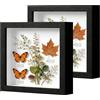 OUTALIZ Set di 2 Cornice Portafoto 3D, Cornice Profonda da Riempire 25 x 25 cm, con Lastra Acrilica Trasparente, Cornici per Oggetti 3D Più Profonda di 3 cm, per Foto, Collage, Bouquet, Nero