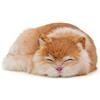 Wonder Sprout Giocattolo di Peluche di Gatto Arancione da 8,26 pollici Morbido e Realistico Gatto Cuscino di Peluche Regalo di Natale e Compleanno Perfetto per Bambini Decorazione per Casa e Auto