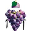 Hobngmuc Costume Da Uva, Travestimento Divertente Di Uva Viola Con Cappuccio, Costume Di Frutta Per Halloween, Feste E Cosplay, Tutina Unisex Per Adulti E Bambini (Viola)