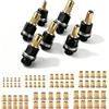 CDDCWZ 77 pezzi Set di utensili per rivetti, pinze per rivetti per rivetti da M3, M4, M5, M6, M8, M10 e M12, rivettatrice con 70 dadi, rivetti a pressione per rivettatrici manuali