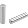 Yesallwas 10PCS 6mm x 40mm tassello pin 304 acciaio inox supporto mensola pin metallo elementi di fissaggio utilizzati in posizione precisa (6mm x 40mm 10PCS)