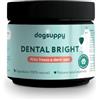 DogSuppy Dental Bright per Cani, 100% Naturale, 60 dosi