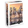 SentoSphere Calypto Cavalli 500 pezzi XL Puzzle