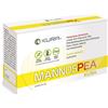 KURA Srl MANNOSPEA 14 Bust.