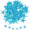QUARKZMAN 60Pcs Stelle Marine per, 0.4-0.8 Piccole Stelle Marine Naturali Conchiglie all'Ingrosso PerFai da Tematica Spiaggia Matrimonio Party Casa Vasi, Azzurro Chiaro
