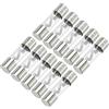 Partuto 10 Pezzi 10x38mm 0.39x1.50 Pollici 40A Fusibile Universale in Vetro AGU - Tubo Fusibile per Auto Protezione Sicurezza Elettrica - Tono Argento Metallico