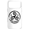 Brittany Celtic Culture Custodia per iPhone 17 Pro Max Simbolo del patrimonio celtico Triskel