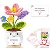 BigNoseDeer Regalo Donna Compleanno Idee Regali Donna Originale Utile Regali Collega Migliore Amica Sorella Regalo Natale San Valentino Festa Della Mamma Maestre Personalizzata Regalos Fidanzata Laurea Matrimonio