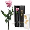 Yamonic Rosa Stabilizzata Regalo Donna, Vera Rosa Eterna con Steli Regalo per Donne Compleanno, Regali Natale San Valentino Festa della Mamma Anniversario Matrimonio Regali Fidanzata Mamma Nonna
