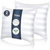 TESQ Guanciale 60x60 cm - Set di 2 Guanciali di Lusso per Hotel con Imbottitura Migliorata, Confortevole e Traspirante Certificato Oeko-TEX, Ideale per Dormire sul Lato, sulla Schiena e sulla Pancia