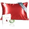 townssilk Federa seta cuscino,100% naturale seta di gelso 19momme,doppia faccia,benefica per capelli e pelle,ipoallergenica,cerniera nascosta,1 pz,50x80cm,Red