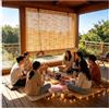 ACJSDGL Tenda Veneziana in Canna 105×100cm,Tapparella in Bambù Carbonizzato per Cucina e Bagno,Filtro Luce Naturale,Avvolgibile con Accessori Inclusi Natura