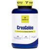 Yamamoto Nutrition Yamamoto CreaGelèe Creatina Monoidrato Effervescente, 90 Supergelèe, Gusto Agrumi