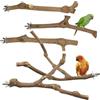 Allazone Posatoi in Legno di Uccelli, Posatoi per Uccelli, Ramo D'uva Naturale per Uccelli, Cockatiels Conures Macaws, 5 Pz