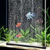hygger Striscia per Bolle di Ossigeno per Acquario, con Accessori, Decorazione ad Alta Diffusione di Ossigeno per Acqua Dolce e salata (15.7 Pollici, 1 Pezzi)