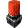 senza REGOLATORE DI RICAMBIO PER COMPRESSORE IDEALSTAR LT 24/50 Per art. 5896700/02