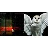 WARNER BROS Diamond Eyes & Koi No Yokan