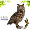 Xujuika Dissuasori Per Uccelli Gufo, Gufo Scaccia Anti Piccioni, Dispositivi Repellenti Per Uccelli, Spaventapasseri Per Giardino Owl, Dispositivo Scaccia Uccelli - Spaventare Gli Uccelli