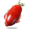 Tûche Semi POMODORI ROMA In Busta Ermetica MADE IN ITALY Qualità superiore con 95% di germogliazione con istruzioni