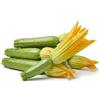 Tûche Semi ZUCCHINE DA FIORE O FIORI DI ZUCCA In Busta Ermetica MADE IN ITALY Qualità superiore con 95% di germogliazione con istruzioni