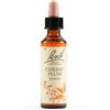SCHWABE PHARMA ITALIA SRL CHERRY PLUM BACH ORIG 20ML