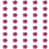 QUARKZMAN 40 Pezzi Fiori Pressati Essiccati, 0.24-0.31 Fiori Colorati Di Narciso Essiccati Pressati All'ingrosso Per Nail Art Resina Gioielli Candele Biglietti Scrapbook, Viola Rosso